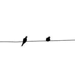 Two Birds