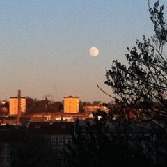 HMSurf's Right Feel (4U) w/ Dedication by N-Light-N