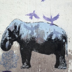 Gravação - Fragmentos - Theatro Municipal