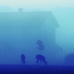 The Static Within Us