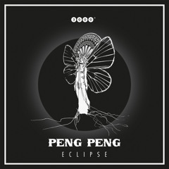 03 PengPeng - Stereoid - Eclipse - EP - 3000Grad028 - Snippet