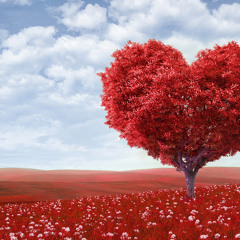 蔡依林-我的依賴 cover By W.H(七夕閃亮亮快樂唷♥)