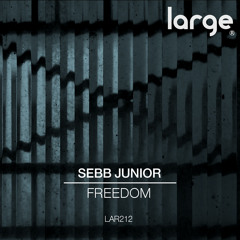 Sebb Junior Elevate My Soul (edit)