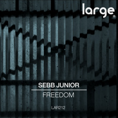 Sebb Junior How I Feel (edit)
