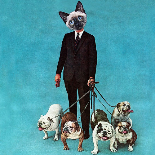 Filteria - Dog Days Bliss (Album Edit)