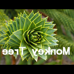 Little Dream #3 Lucid