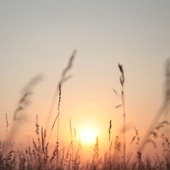 Listening on Top of Saskatchewan's Highest Point
