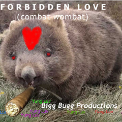 BIGG BUGG PRODUCTIONS: Forbidden Love (combat wombat)