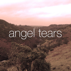 Entoen & antik  - angel tears