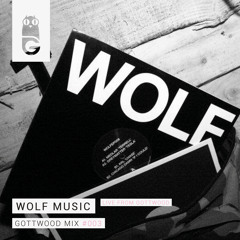Gottwood Mix #003 - WOLF Music (Live From Gottwood)
