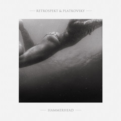 Retrospekt & Platkovsky - Hammerhead [Premiere]