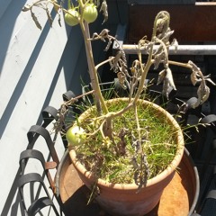 James Blunt - Your Beautiful