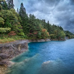 Between The Forest And The Sea (The Monaco Theme)