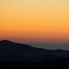 230. Late Summer (18 Aug 2015)