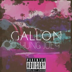 Gallon (Oceans 2001 remix)