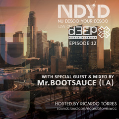 The NDYD Radio Show EP12 - guest mix by Mr. BOOTSAUCE (Los Angeles)