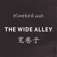 Bicycle Groove - from The Wide Alley (2009)