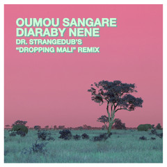 Oumou Sangaré - Diaraby Nene (Lee On's Dropping Mali Remix)