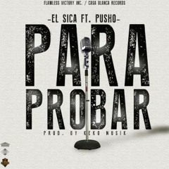 Para Probar-El sica fr pusho