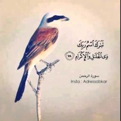 سورة الرحمن ش. #عبدالله_الجهني فجر الخميس ٥-١١-١٤٣٦هـ #الحرم المكي