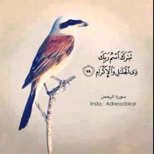 سورة الرحمن ش. #عبدالله_الجهني فجر الخميس ٥-١١-١٤٣٦هـ #الحرم المكي