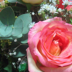 Buscai primeiro o Reino de Deus