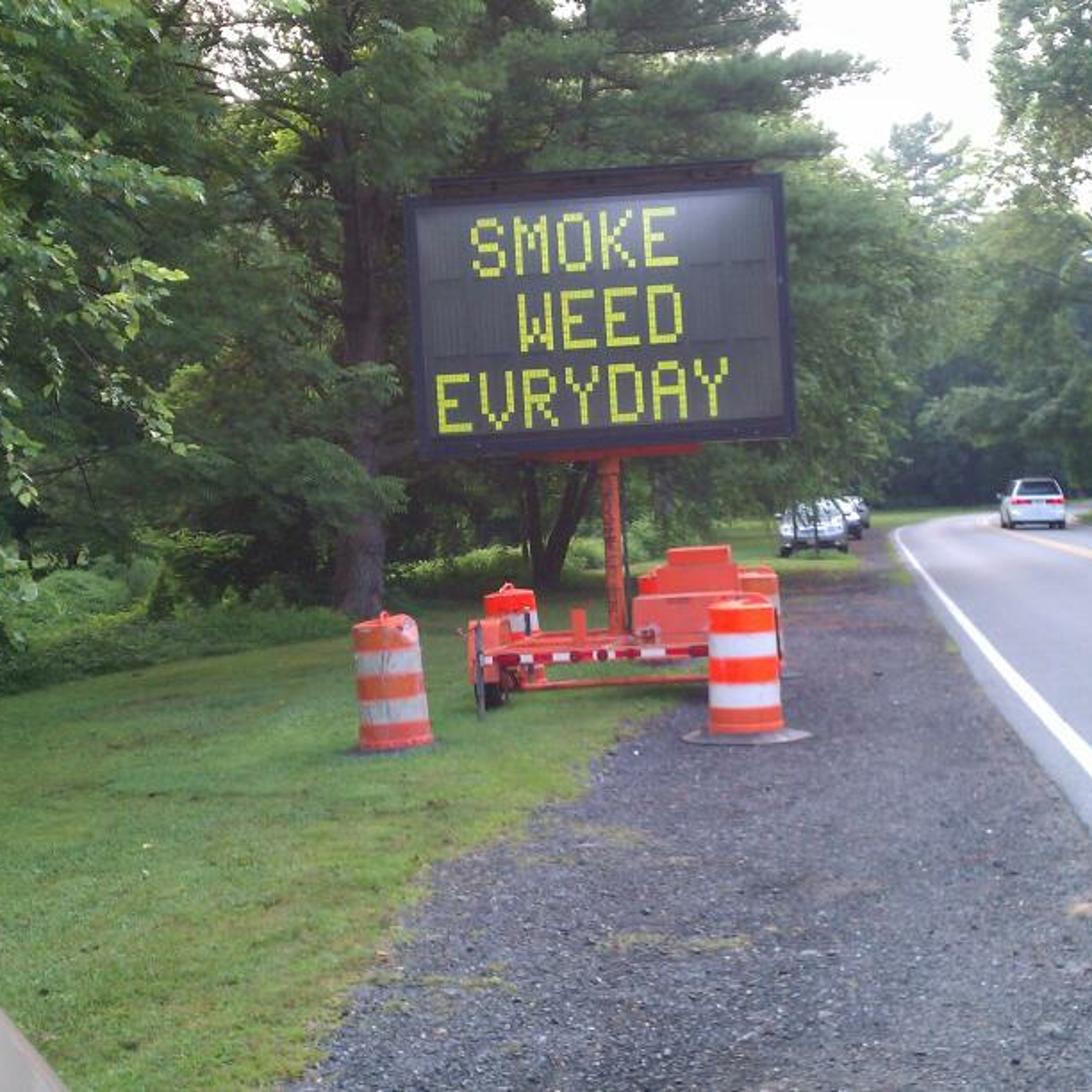 Smoke Weed Everyday episode artwork