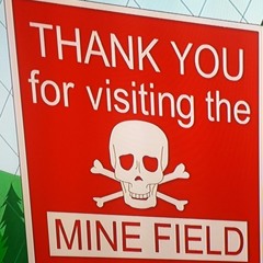 Back In The Mine Field