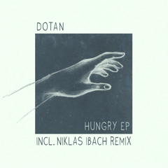 Niklas Ibach  -  Hungry Remix