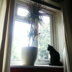 Day before the day (Dido Cover)