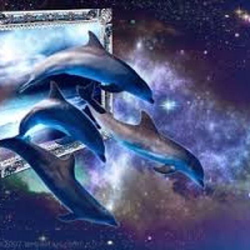 Siam - Dolphins In Space