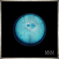 SHE prod Proptheproducer