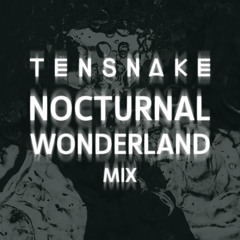 Tensnake Nocturnal Wonderland Mix