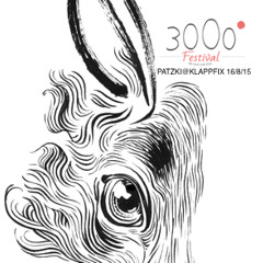 PATZKI@3000GRAD FESTIVALS KLAPPFIX 2015