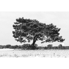 Job Smit & Marc Nolte | Mixtape Aug 2015