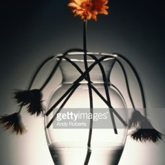 Half A Million ft Bars215