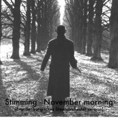 Stimming - November Morning (Brandenburgisches Staats - Orchestra Version)