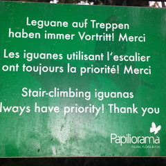 Tech Station [Lion King Edition]