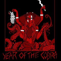 "White Wizard" - Year of the Cobra