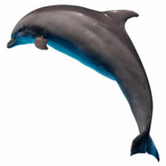 Daily(ft. Planetbars)