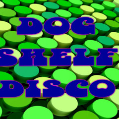 dog shelf disco