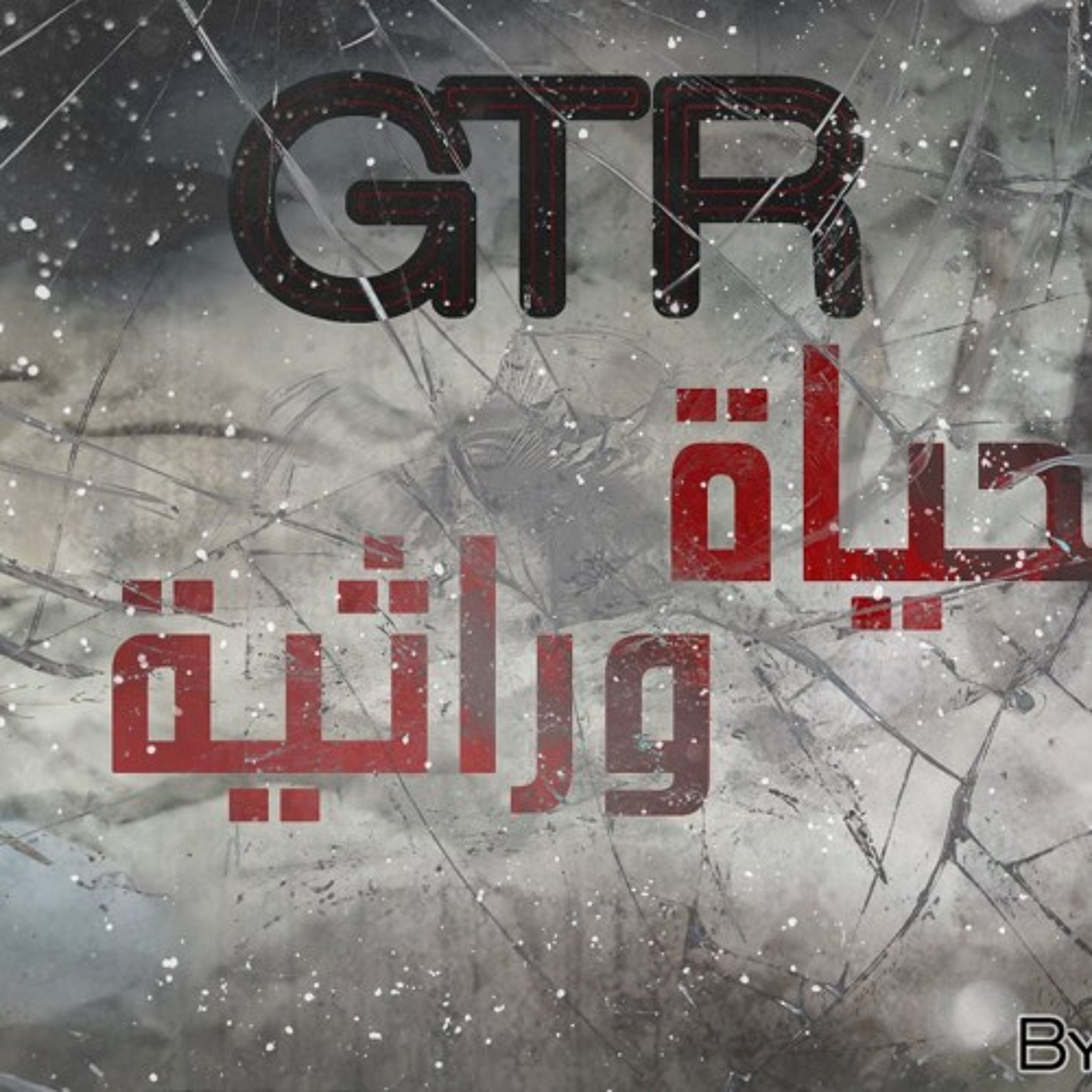 Sayed ElKholy