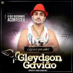 Perfume das Nega - GLEYDSON GAVIÕES & GAVIÕES DO FORRÓ AGOSTO 2015 - CRYSANTO GRAVAÇÕES