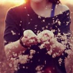 BeyonÄ‡e Survivor (sick Kick Music Remix) Remixed By RANDOM HUMOR