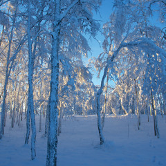 Lana Del Rey - Video Games (Remix)