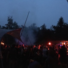 Jannemann @ irrrgendein fest in hamburg