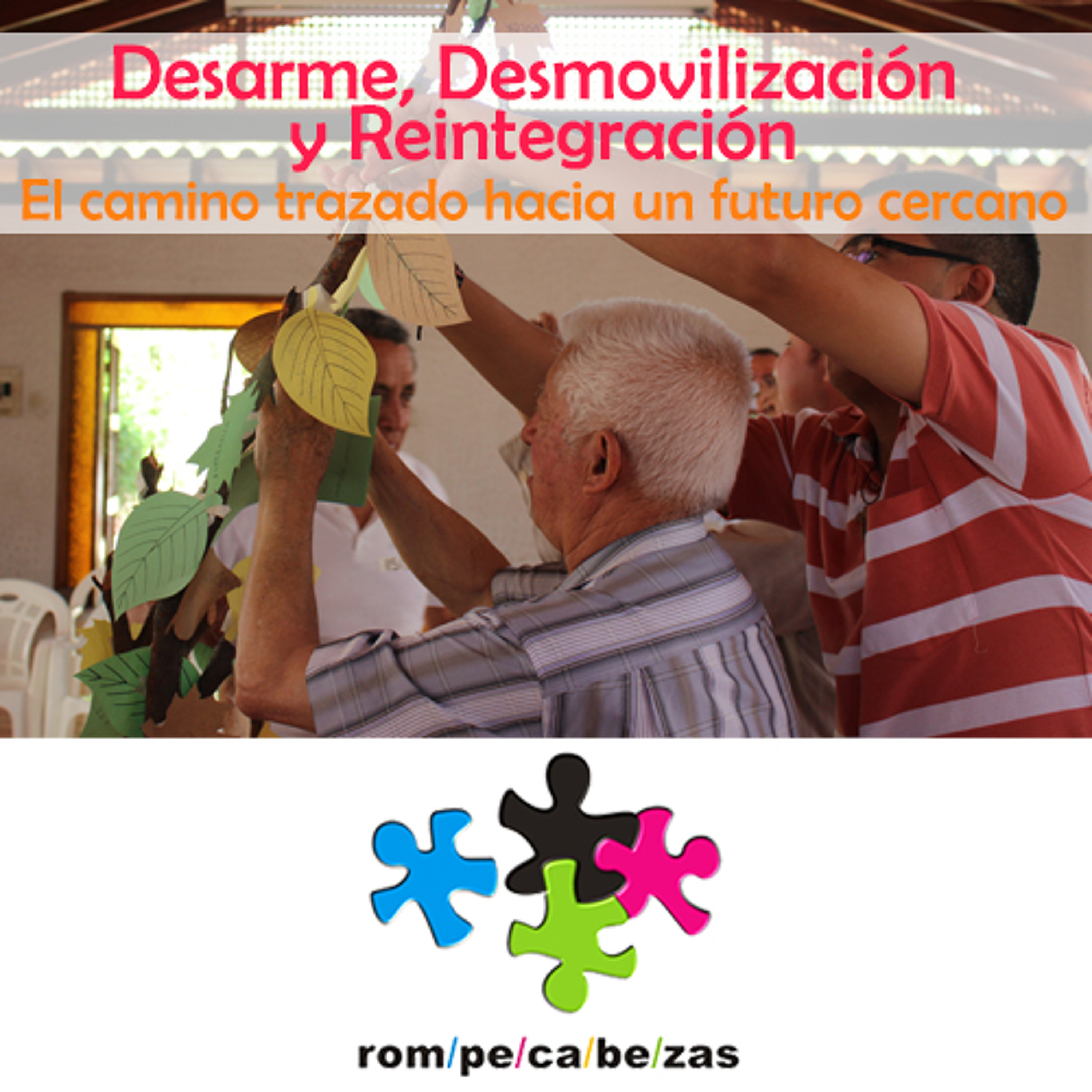 Desarme, Desmovilización y Reintegración. El camino trazado hacia un futuro cercano episode artwork