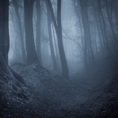 Deep Woods