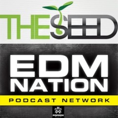 Ninna V - GuestMix for The Seed EDM Nation Podcast