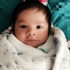 nhật kí của mẹ